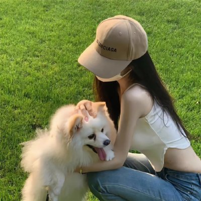 富贵吉娃娃